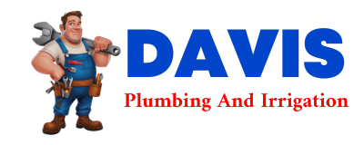 Trusted plumber in BURT LAKE